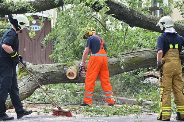 Feuerwehr_Baum   009.jpg